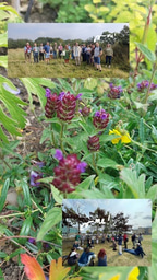 Jumping into Community Action: My Laidlaw experience