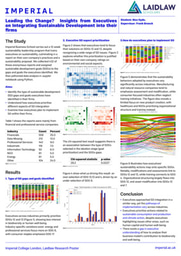 Poster: Leading the Change? Insights from Executives on Integrating Sustainable Development into their firms