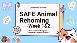 SAFE Animal Rehoming Week1&2 - Leadership in Action