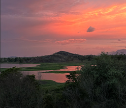 Reflections on Ethical Leadership and Global Citizenship