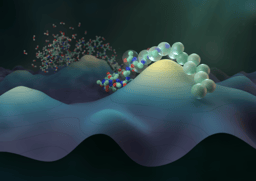 Navigating protein landscapes with a machine-learned transferable coarse-grained model