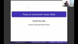 2024 Birkhäuser Distinguished Lecture by Professor Camillo De Lellis