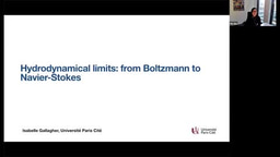 2025 Birkhäuser Distinguished Lecture by Professor Isabelle Gallagher