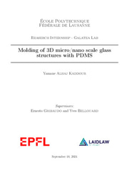 Research Report: Molding of 3D micro/nano scale glass structures with PDMS