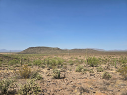 LiA Reflection Week 6: Living Within Borders