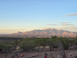 LiA Reflection Week 4: Perspectives and Practice