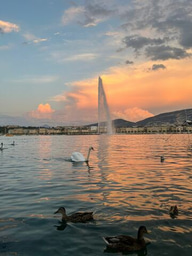 My Journey at the Cyber Peace Institute in Geneva!