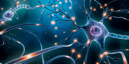 Top 100 in Neuroscience | Scientific Reports 