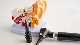 Ask the Editor - Hearing Disorders and Deafness