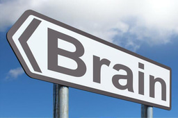 Behind the paper: From brain drain to brain gain: catalyzing India’s science & technology renaissance through scientifc schemes and infrastructure growth