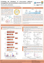 Evaluating the abundance of cross-reactive influenza hemagglutinin and neuraminidase-targeted memory B cells