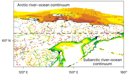 River supply, ocean burial and the contemporary carbon cycle