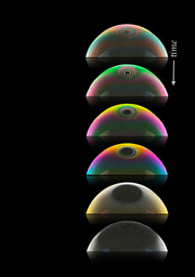 Life and death of a thin liquid film