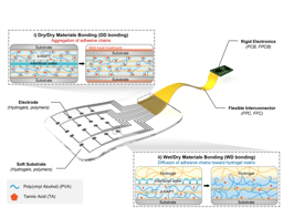 Innovative Hydrogel Adhesives for Seamless Integration of Soft Electronic Devices
