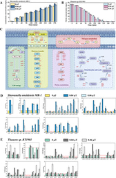 Long-term operation and dynamic response of dissimilatory nitrate reduction to ammonium process under low-frequency infrared electromagnetic field