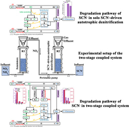 An innovative approach for efficient thiocyanate and nitrogen removal from industrial wastewater