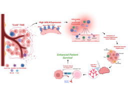 Battle of the Cold TME Frontier – Novel Biomarker in Microsatellite Stable Colorectal Cancer 