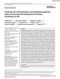 Fostering cell–cell interactions and integrating angiocrine factors to promote the development of salivary microtissues in 3D