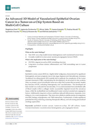  An Advanced 3D Model of Vascularized Epithelial Ovarian Cancer in a Tumor-on-a-Chip System Based on Multi-Cell Culture
