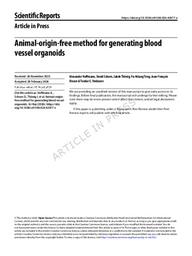 Animal-origin-free method for generating blood vessel organoids