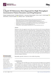 A Rapid 3D Melanoma–Skin Organoid for High-Throughput Assessment of Tumor Dynamics and Drug Response