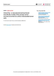 IntravChip: a vascularized and perfused microfluidic model of the primary tumor microenvironment to collect intravasated tumor cells