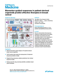 Biomarker-guided responses in patient-derived organoids predict effective therapies in breast cancer