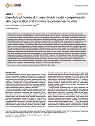Vascularized human skin assembloids model compartmental skin organization and immune responsiveness in vitro