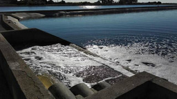 Assessing multifactorial public health risks in sewage reclamation