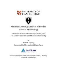 Machine Learning Analysis of Biofilm Wrinkles