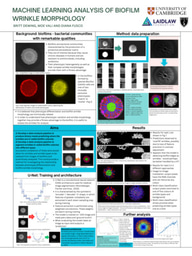 Machine Learning Analysis of Biofilm Wrinkling