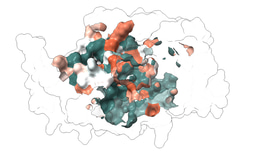 The best of both worlds for Candida albicans: pan-azole antifungal resistance can be cost-free