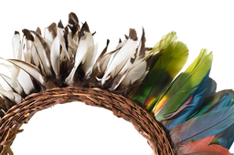 When illegal gold reached Yanomami lands, malaria followed