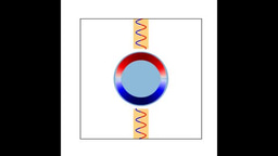 Edge magnetoplasmon resonator