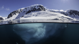 Call for papers: Polar ecology Collection