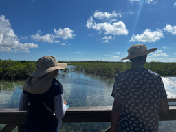 Survey to Support Organizational Culture and Intentions in Our Organizations