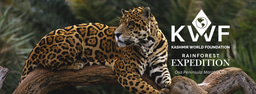 Harnessing Technology for Wildlife Protection: Introducing KwF