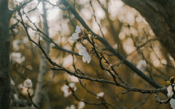 February 2026 Highlights from the Health & Clinical and Life Sciences Research Communities: Rare Disease Day 