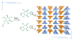 A Perfect Marriage of Enantiopure Polymers of Opposite Chirality in Single Crystals