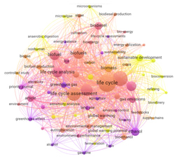 Environmental sustainability analysis of biofuels: a critical review of LCA studies