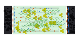 Unlocking High Energy Density and Stable Electric Double Layer Capacitor Derived from Sustainable Biodegradable Polymer Electrolyte Based on Chitosan:Polyvinyl Alcohol: Potassium Thiocyanate:xGlycerol (10≤x≤30)