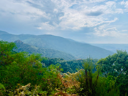 Intergenerational and technological changes in mafia-type groups: a transcultural research agenda to study the ‘ndrangheta and its mobility