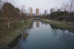 The Chinese Sponge Bioswales can do great to improve climate resilience