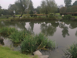 Understanding urban flood resilience in Chinese Sponge Cities via GDELT GKG analyses 