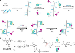 Journal Club | Proteins recruited into the fold of supramolecular polymers