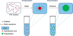 Journal Club | Ethylene polymerisation in aqueous media