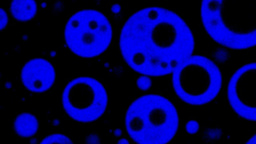 Guest Edited Collection on Coacervation in systems chemistry