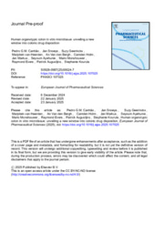 Human organotypic colon in vitro microtissue: unveiling a new window into colonic drug disposition