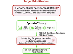 The Two-Front War Against Cancer and Aging: AI Tools Identify Dual-Purpose Targets for Hepatocellular Carcinoma