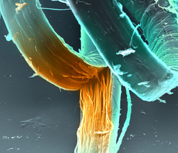 Journal Club | Length Scale Matters